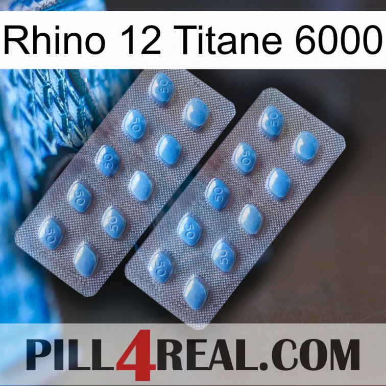 Rhino 12 Titanium 6000 viagra4
